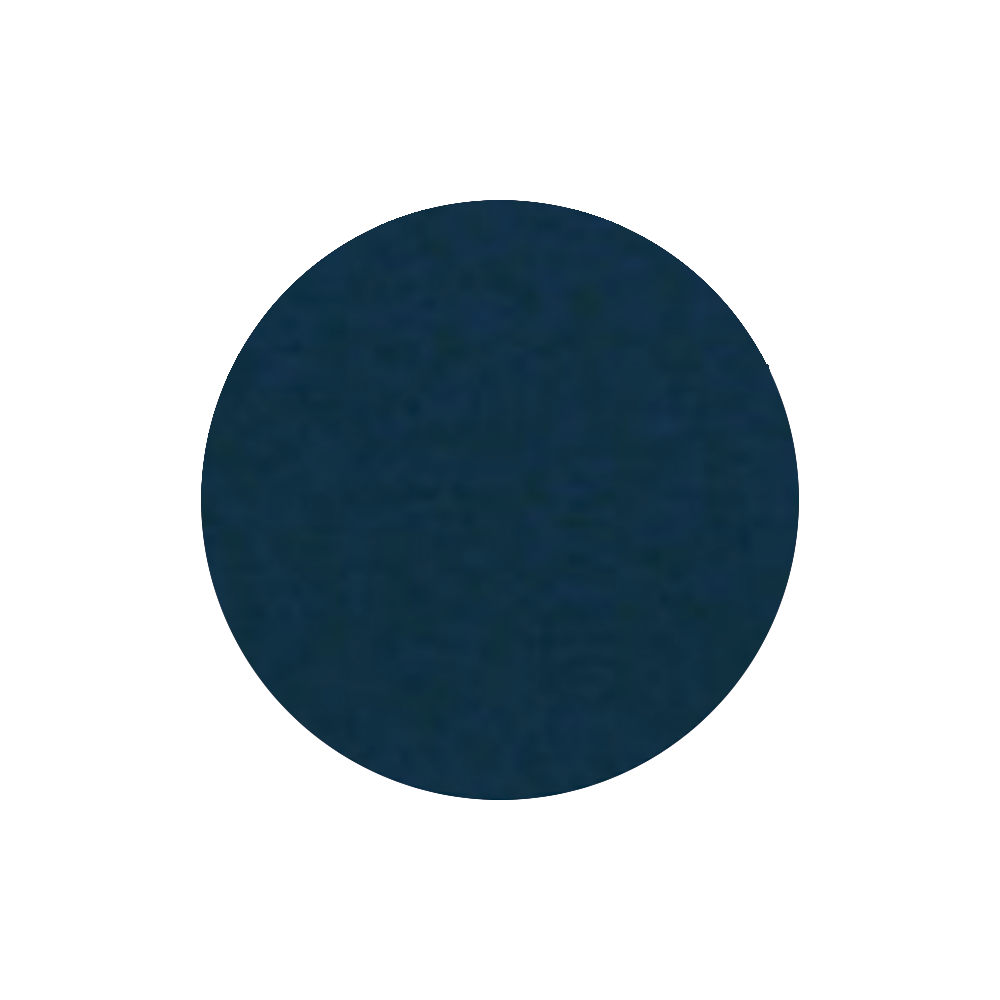 DEBARDEUR DREAMER / BLACK HEATHER BLUE / OR / POISSON LION – Image 2