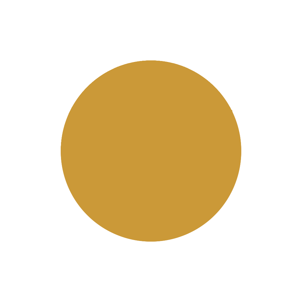 TEE-SHIRT / MINI CREATOR / OCHRE / BLACK / MEDUSA – Image 2
