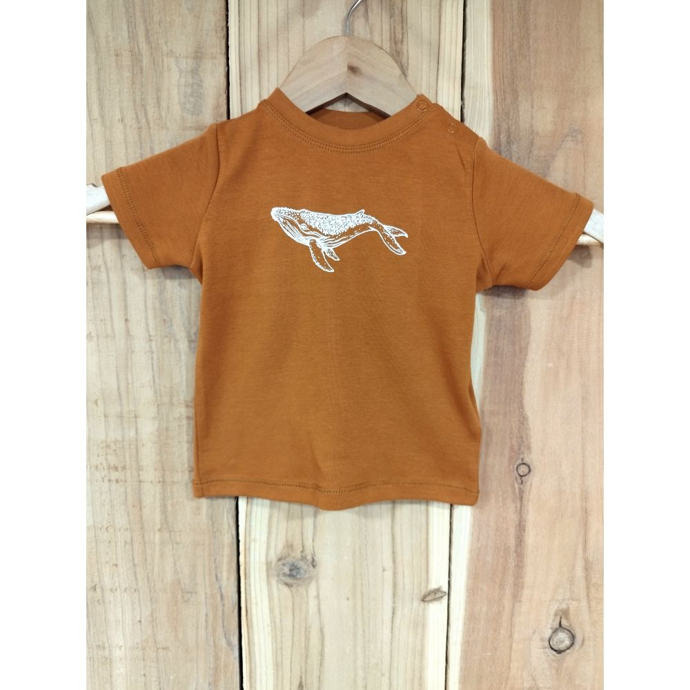 TEE-SHIRT / BABY T / TOFFEE / WHITE / BALEINE