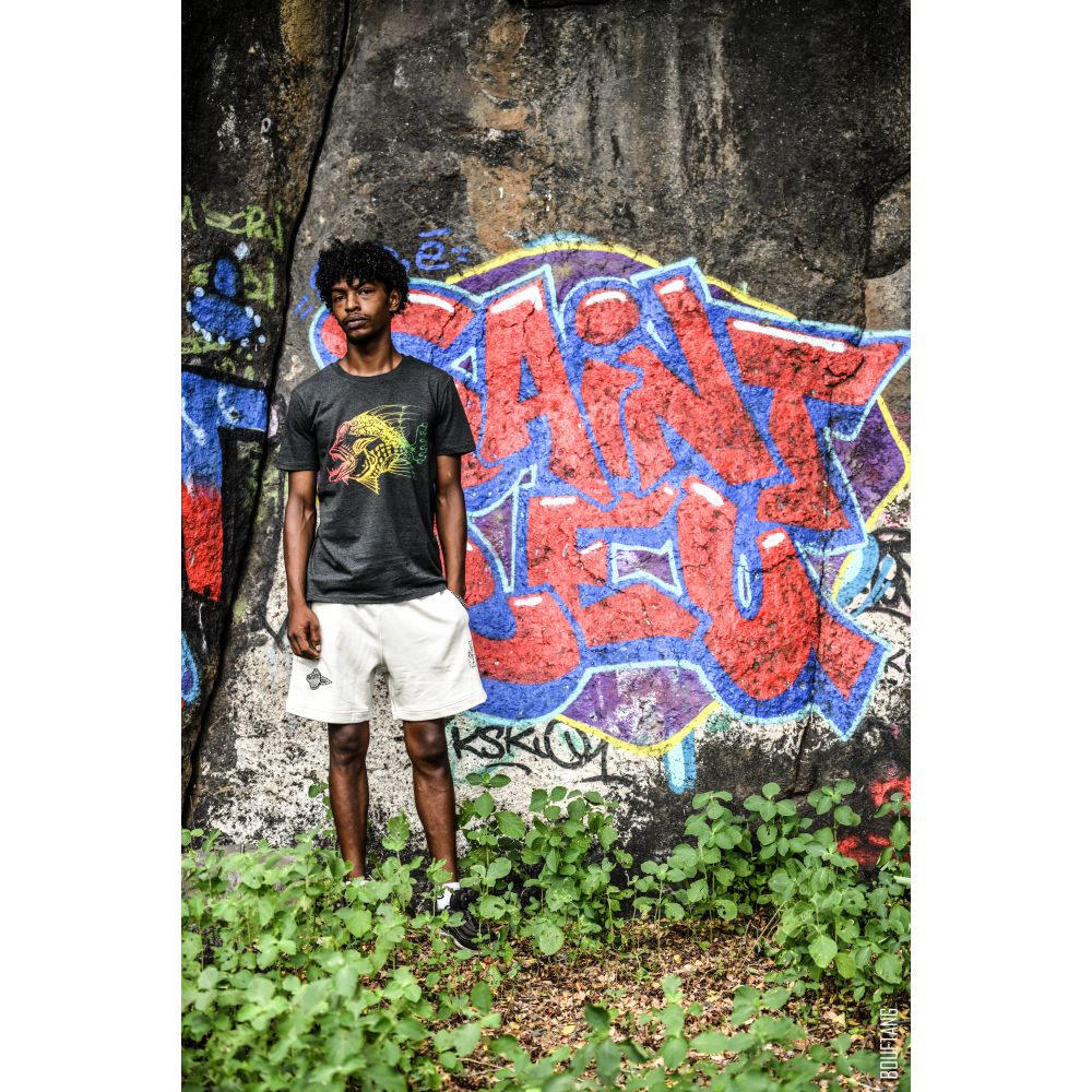 TEE-SHIRT / CREATOR / DARK HEATHER GREY / DEGRADE / POISSON MÉCHANT